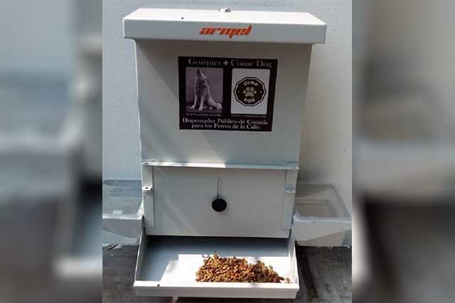 Instalan en calles de Tehuacán comedores para perros y gatos sin dueño