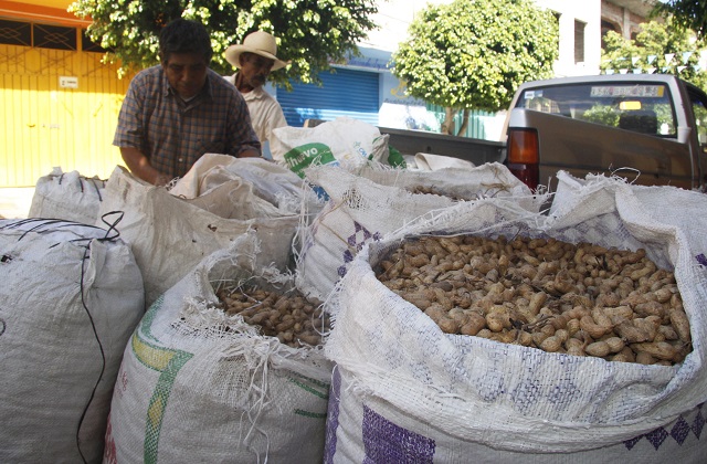 Bonilla, la comunidad dedicada a la producción de cacahuate