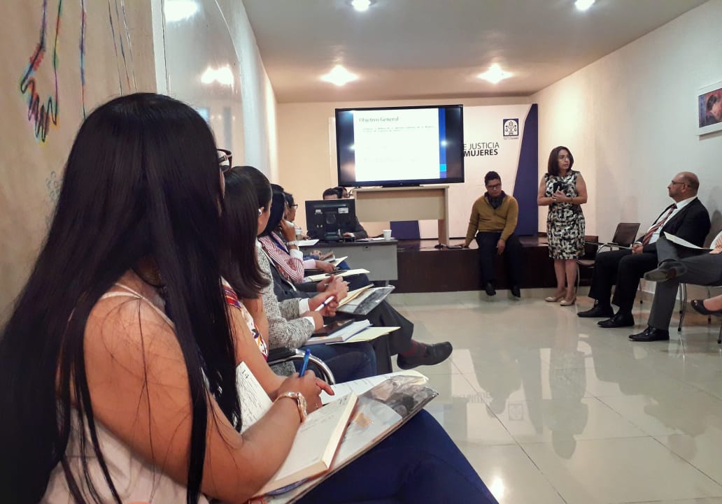 Sesionó el Comité Interinstitucional de Centros de Justicia para Mujeres