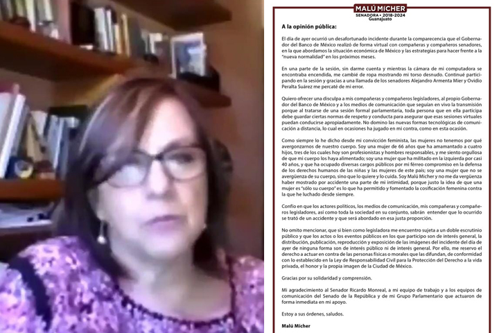 Senadora de Morena se disculpa por salir desnuda a reunión con Banxico