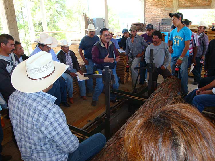 Invierte Conafor más de 30 mdp en Sierra Norte de Puebla