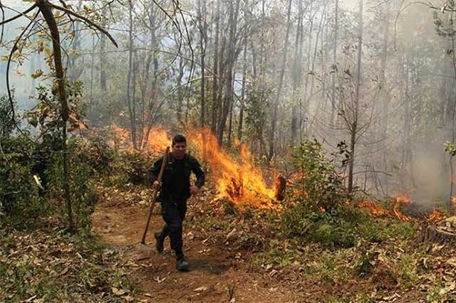 Impartirá Conafor capacitaciones en la Sierra Negra para prevenir incendios forestales