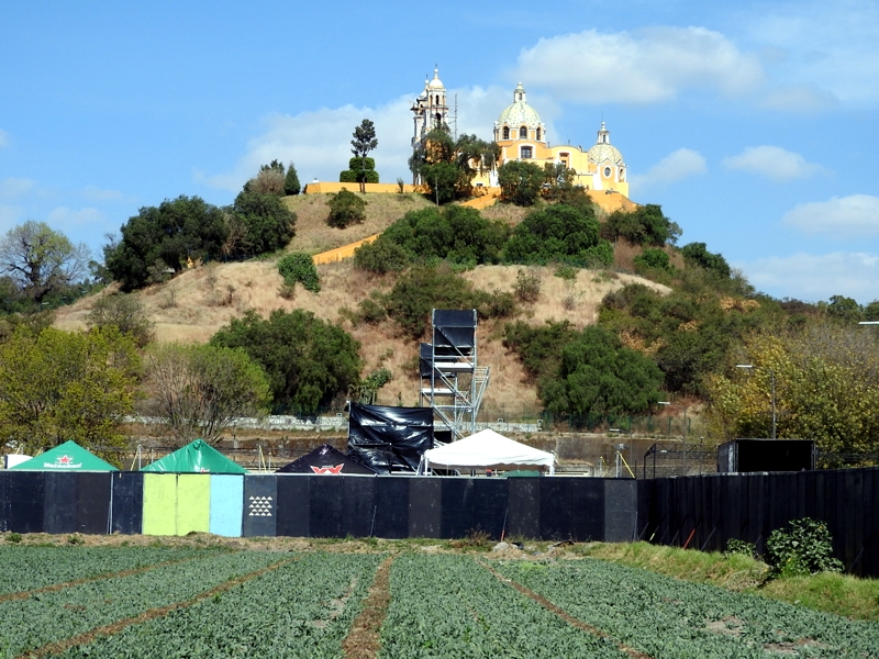 Activistas exigen permisos de tala y concierto en Cholula