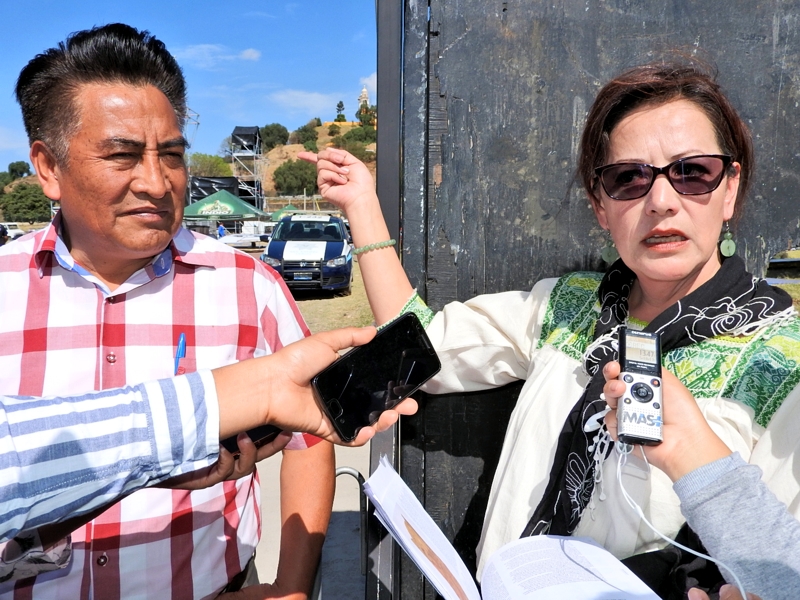 Activistas exigen permisos de tala y concierto en Cholula