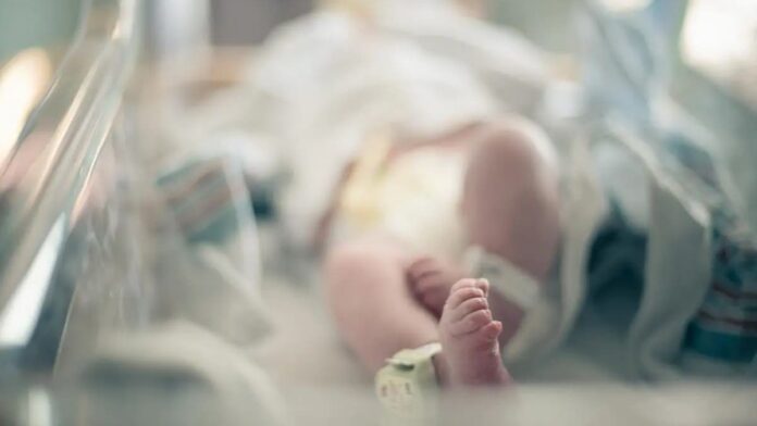 Puebla, entre los estados con más muertes de bebés por tosferina
