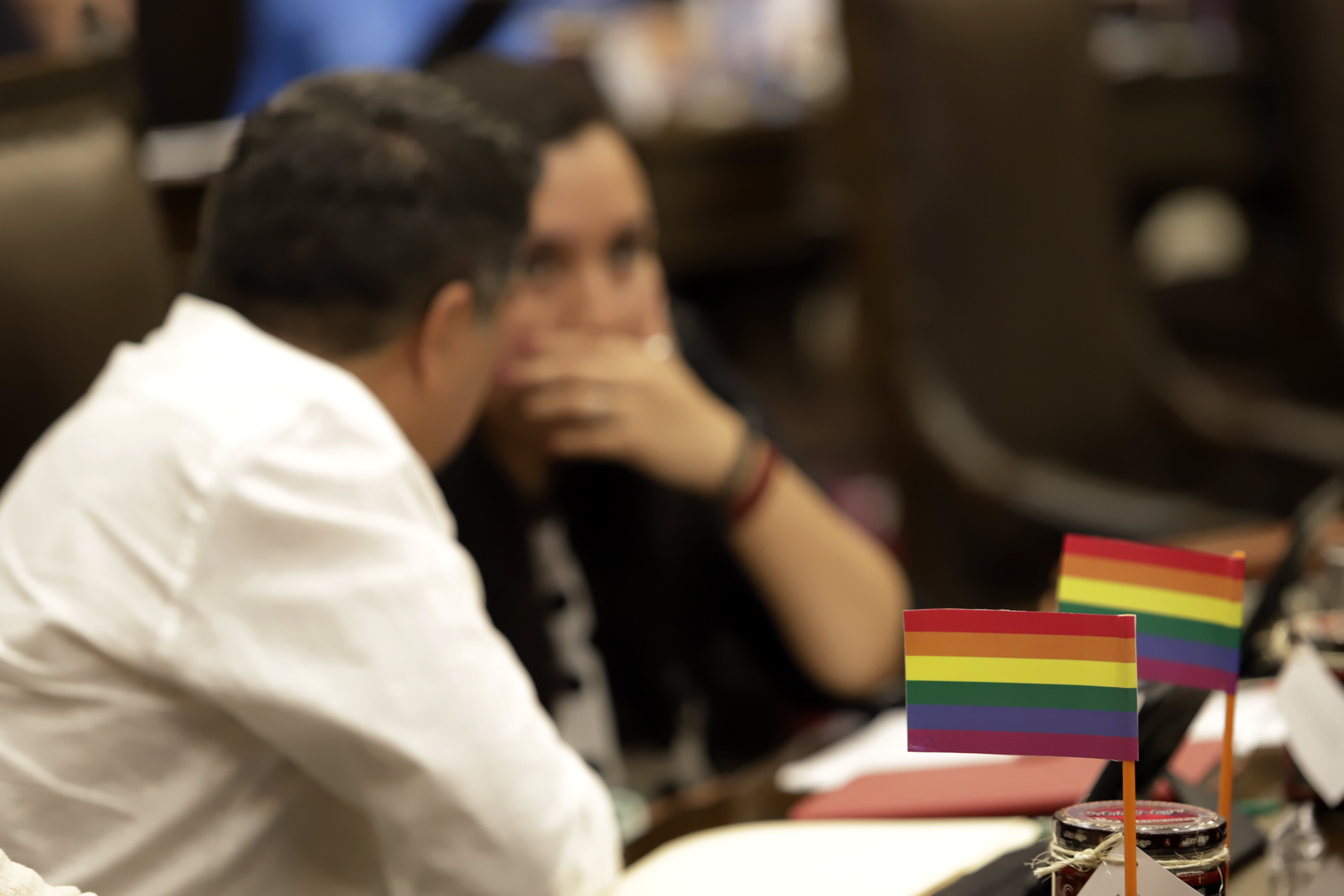 Diputada cuela banderas del Orgullo Gay en el Congreso local