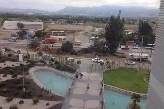 Por construcción de carretera, derriban 15 árboles adultos en Tehuacán