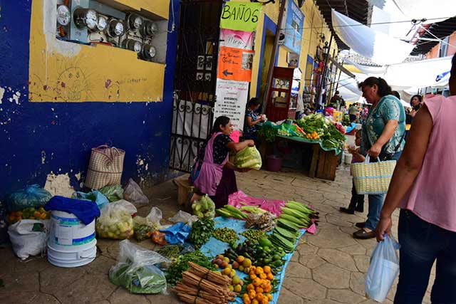 Piden evitar consumo de hongos en época de lluvias en Zacapoaxtla