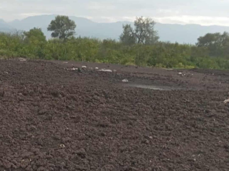 Turnan a la federación caso de empresa que acumula excremento animal en predio de San Marcos Necoxtla