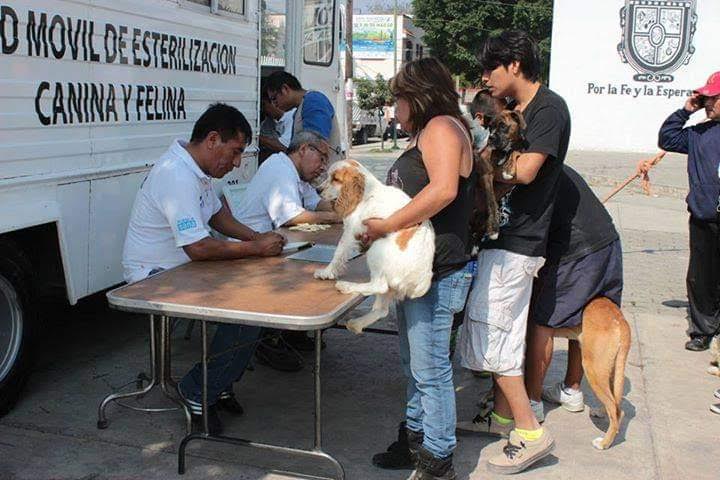 Estancan denuncias por corrupción de control canino Tehuacán