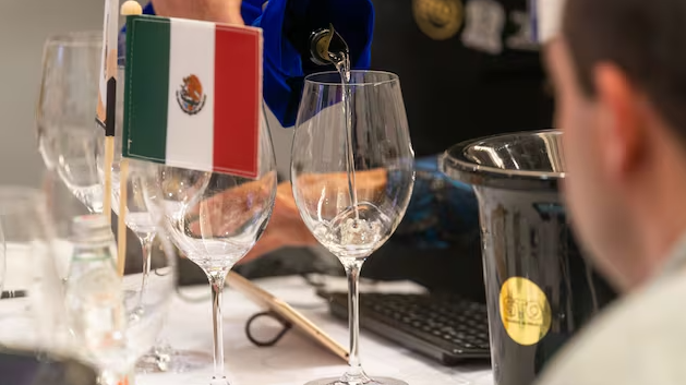 Concurso Mundial de Bruselas, en Guanajuato