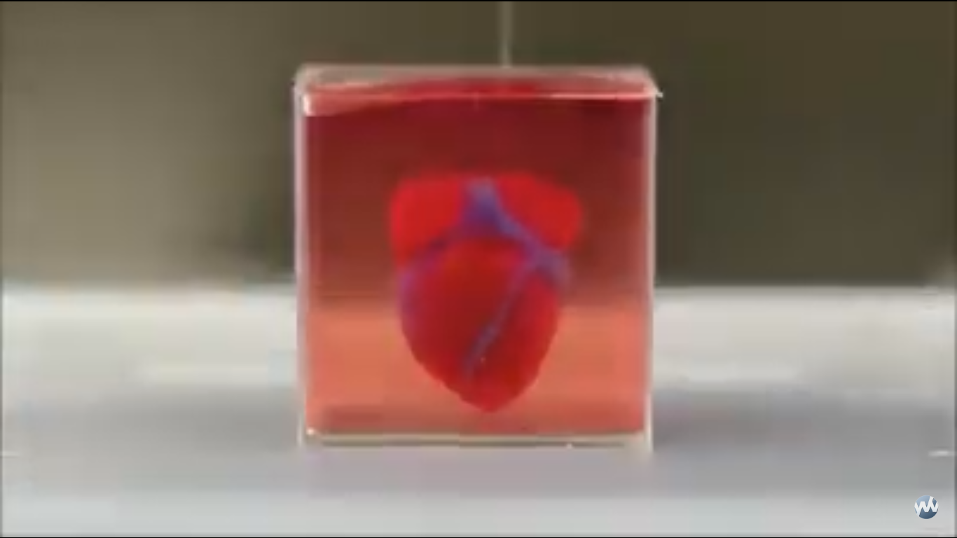 Crean corazón con impresora 3D, y este palpita
