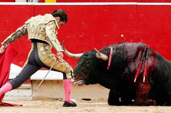 Se enfrentan seguidores de la tauromaquia y activistas contra corridas de toros en Puebla  