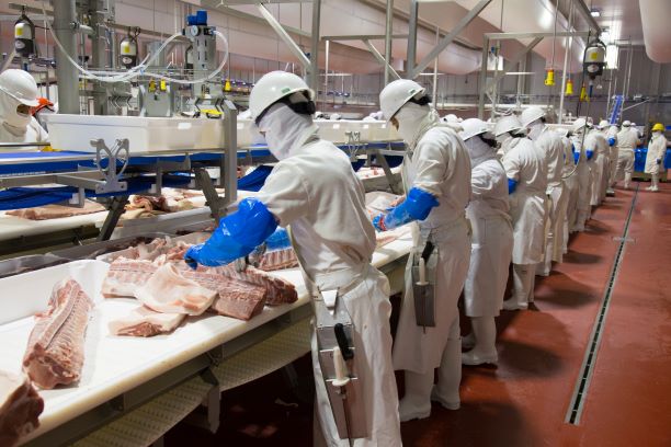 Granjas Carroll incrementó 45% ventas de carne en 2021