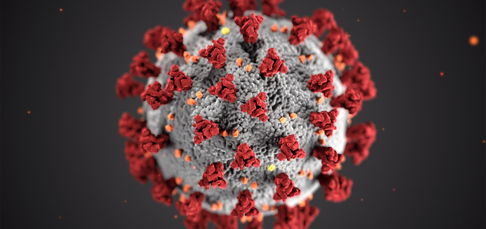 Registra Reino Unido 6 casos de variante brasileña de coronavirus