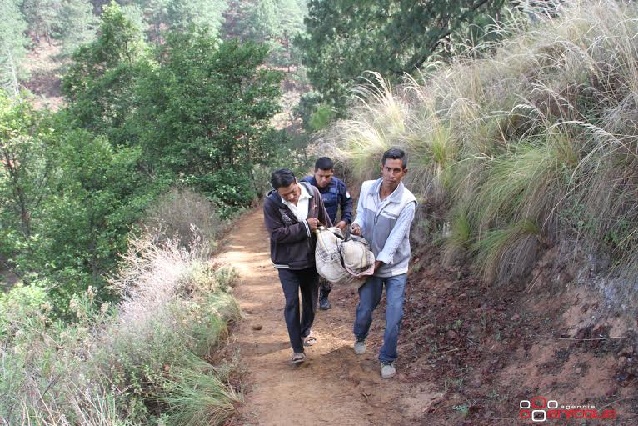 Investigan tres móviles en asesinato de 11 personas en comunidad de Coxcatlán