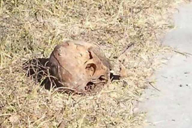 Hallan cráneo humano en jardinera de fraccionamiento en Tehuacán