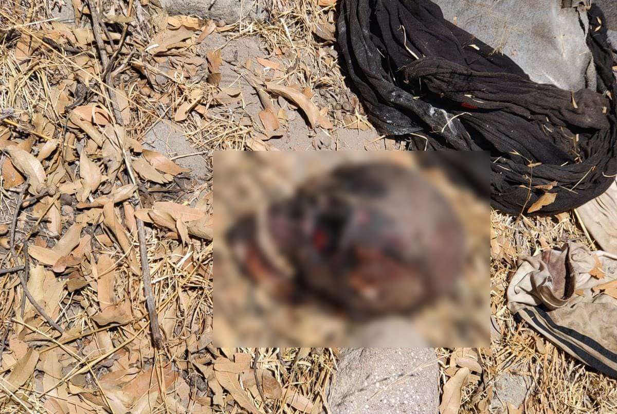 Encuentran cráneo humano en Zitlaltepec 