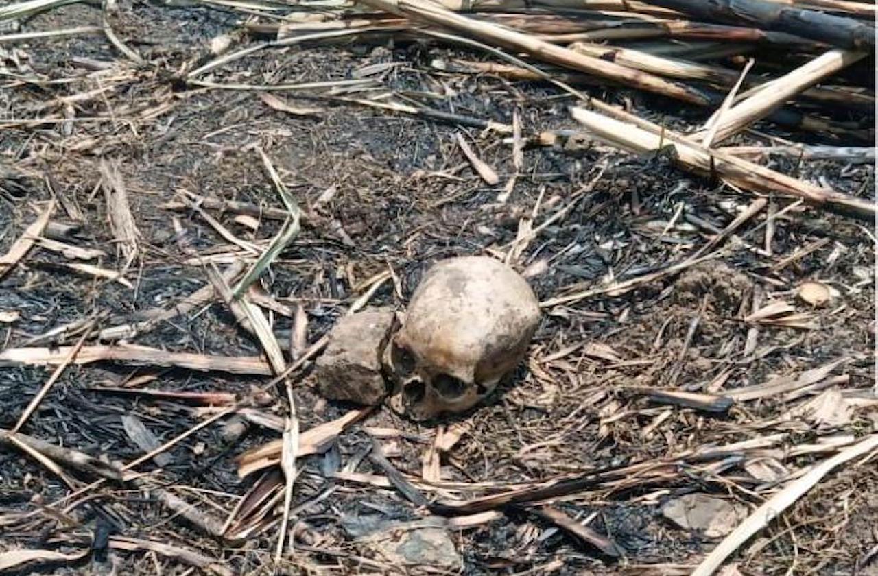Hallan cráneo humano en barranca de Puebla capital