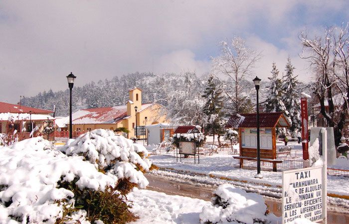 Disfruta tus vacaciones invernales, aquí algunas opciones