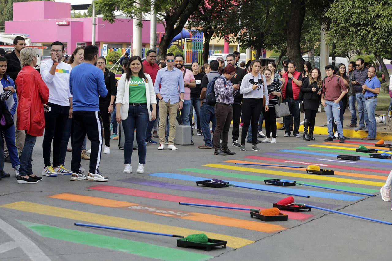 Ordena Tribunal quitar cebras multicolores; Rivera impugnará