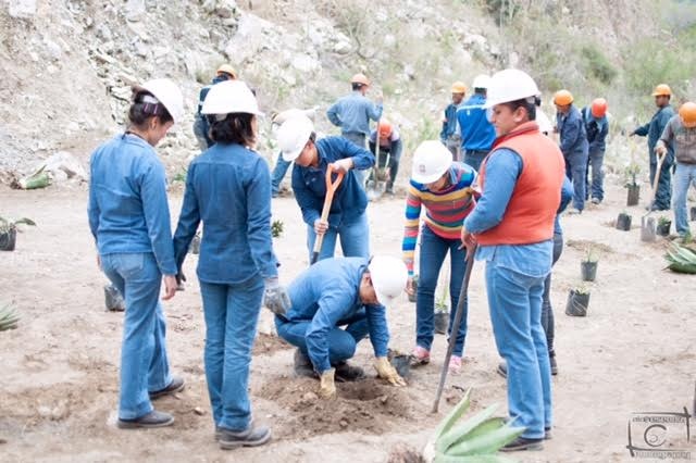 Cruz Azul realiza acciones de conservación ambiental en Palmar de Bravo
