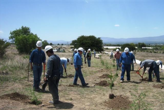 Cruz Azul realiza acciones de conservación ambiental en Palmar de Bravo