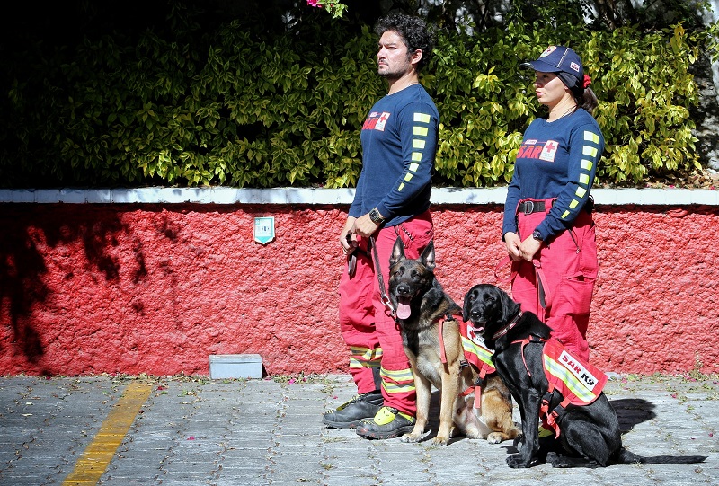 July y Rex, lomitos poblanos viajan a Turquía para labores de rescate