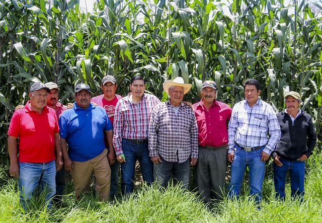 Entrega edil apoyos a productores del campo de Huejotzingo