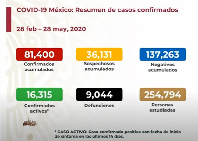 EN VIVO Hay 81400 positivos y 9044 muertos por Covid en México