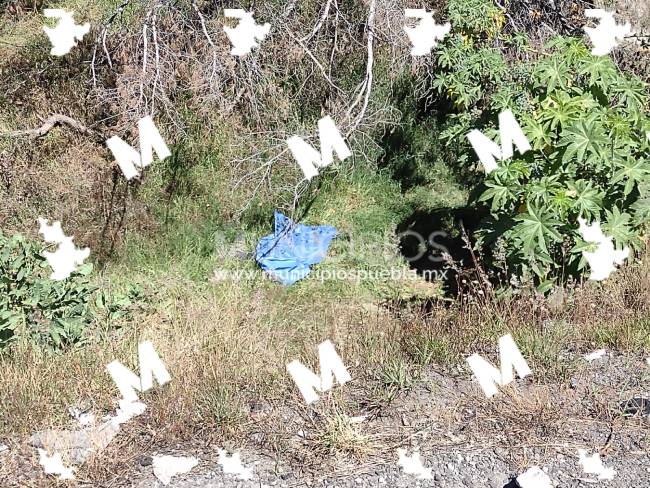 Hallan cadáver a un costado de la México-Puebla en la zona de Texmelucan