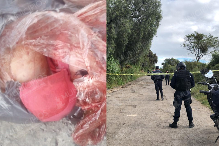 Abandonan cuerpo de mujer desmembrado cerca de Texmelucan