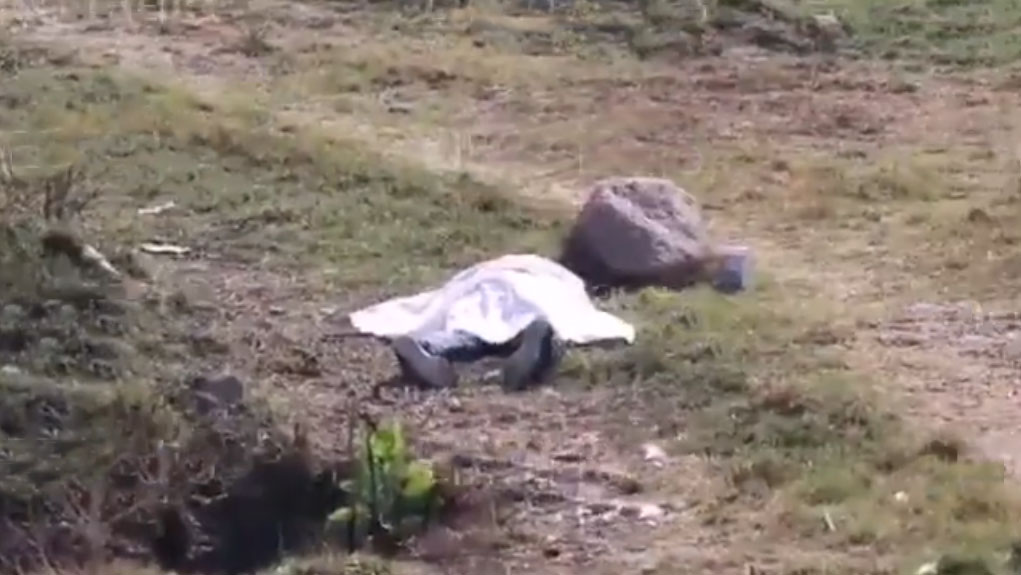 Lo ejecutaron para robarle una pipa de Pemex en La Calera