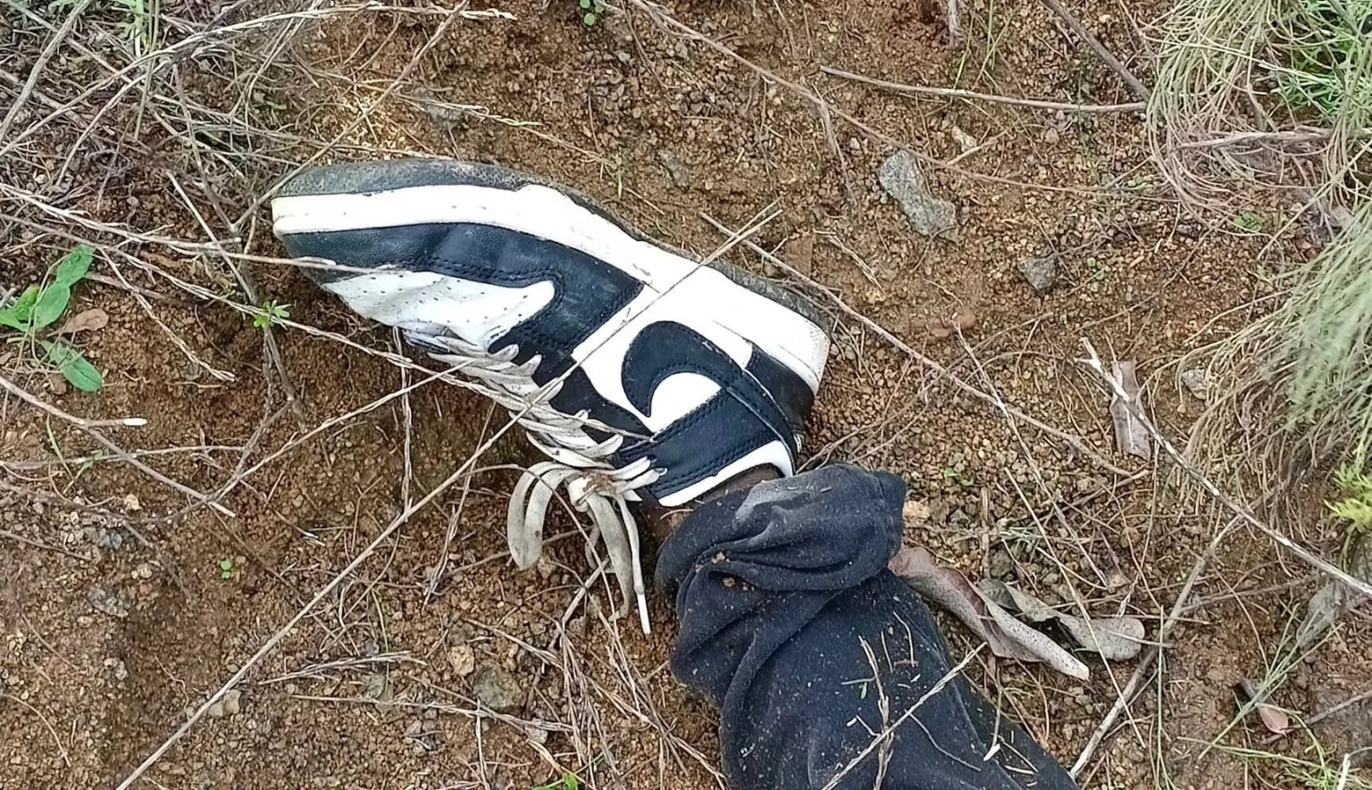 Buscaban a un joven y encontraron cinco cuerpos en Tijuana