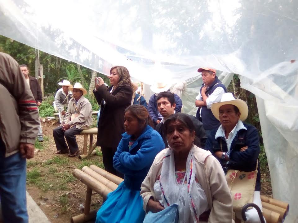 Apoyan protesta de campesinos contra línea de CFE en Cuetzalan