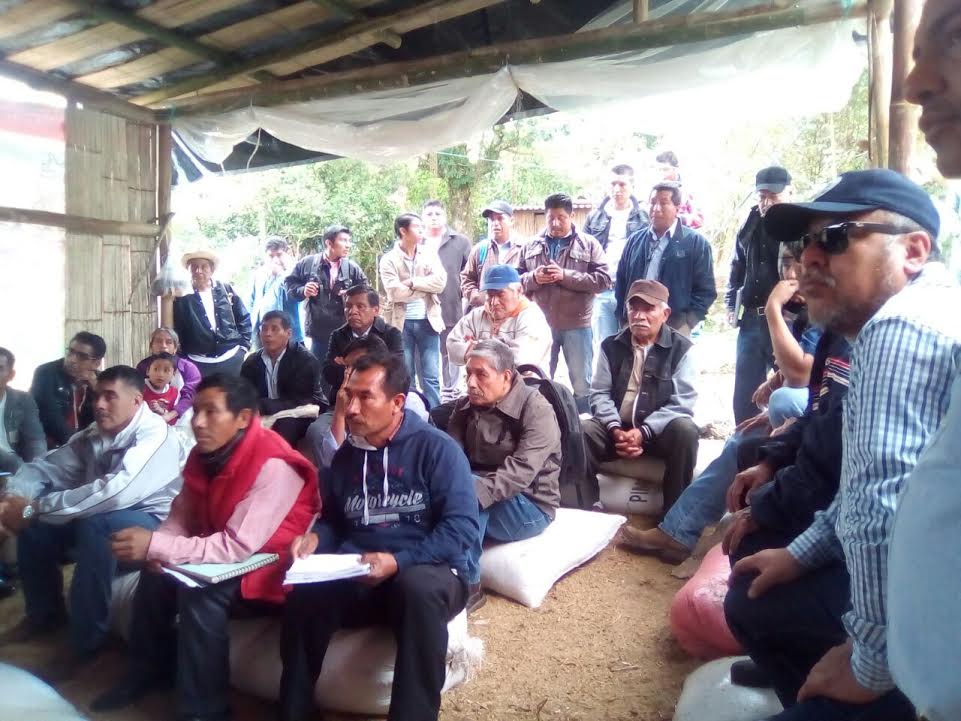 Apoyan protesta de campesinos contra línea de CFE en Cuetzalan
