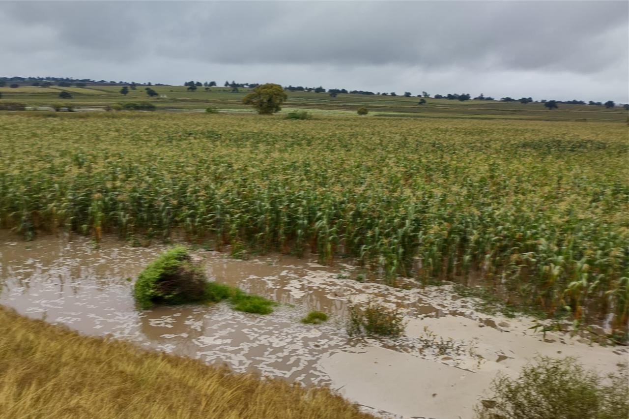 Se desborda río en San José Chiapa dejando pérdidas en terrenos de cultivo