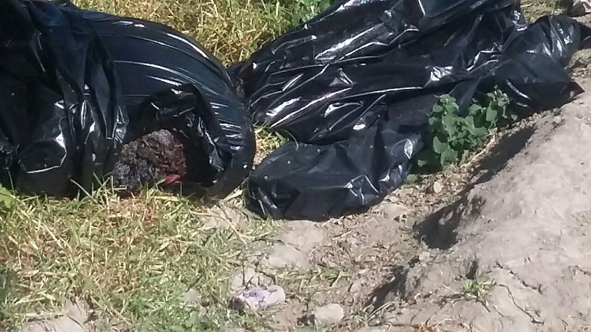 Arrojan 2 cuerpos desmembrados en terrenos de Cuapiaxtla de Madero
