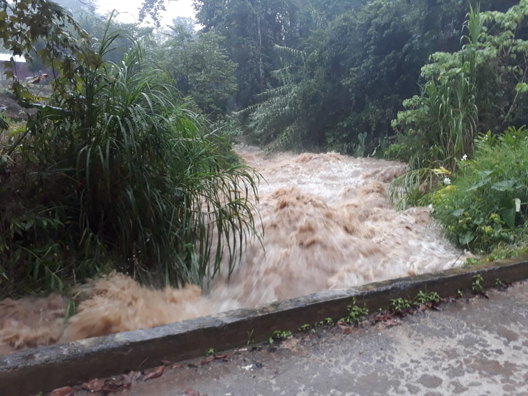 Lluvias dejan derrumbes y tiran árboles en 6 municipios de Puebla