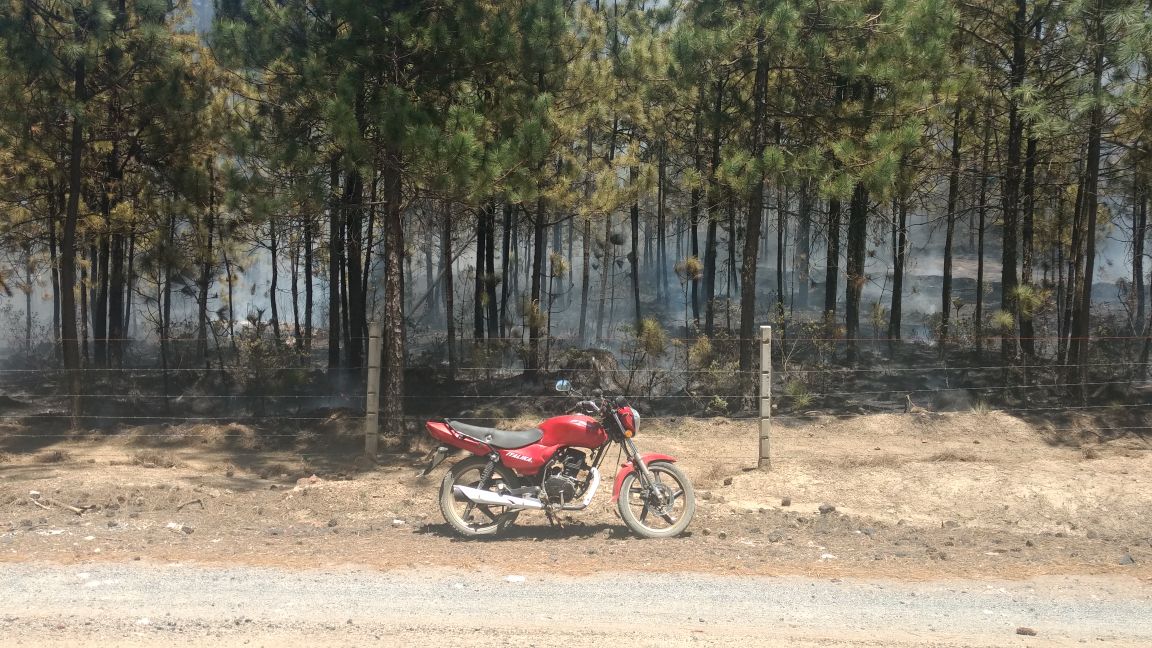 Se registran incendios forestales en Xochitlán, Oyameles y Tlatlauquitepec