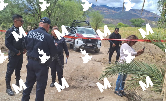 Dejan a hombre ejecutado en campos de cultivo de Coxcatlán