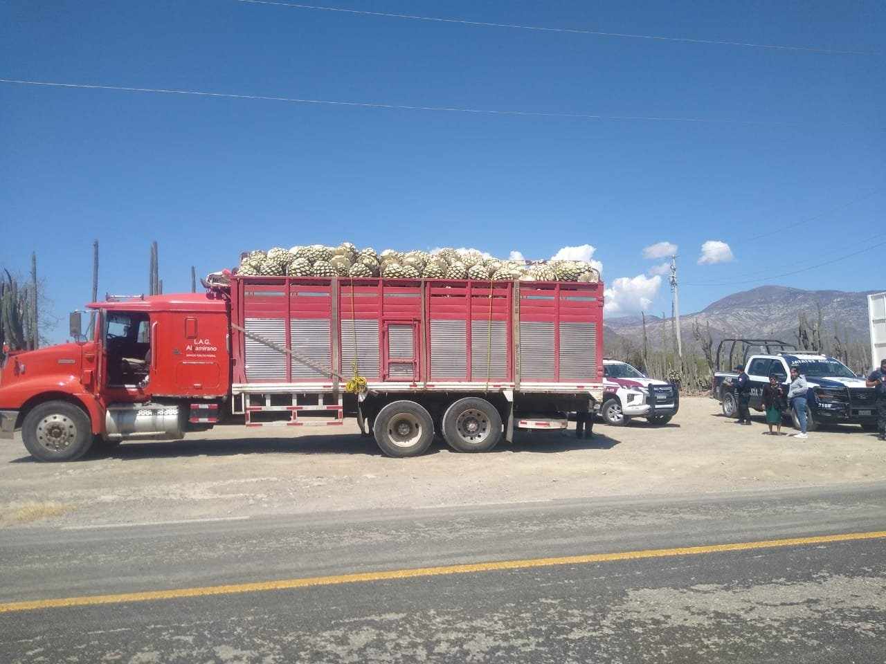 Decomisan más de tres toneladas de piñas de agave en la federal Tehuacán-Huajuapan