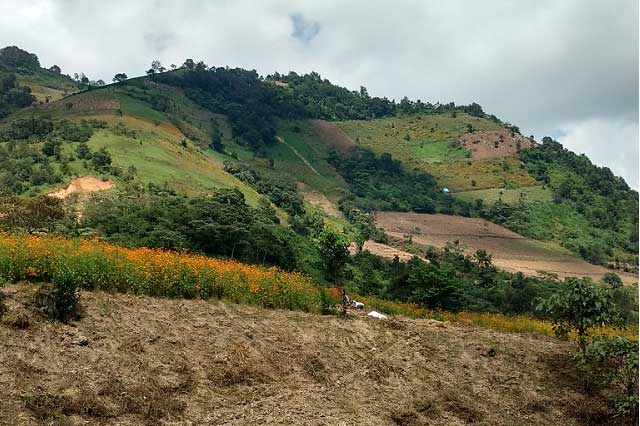 Piden sustituir cultivos en Huauchinango para evitar deslaves