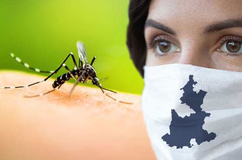 Puebla, sexto estado más afectado por el dengue