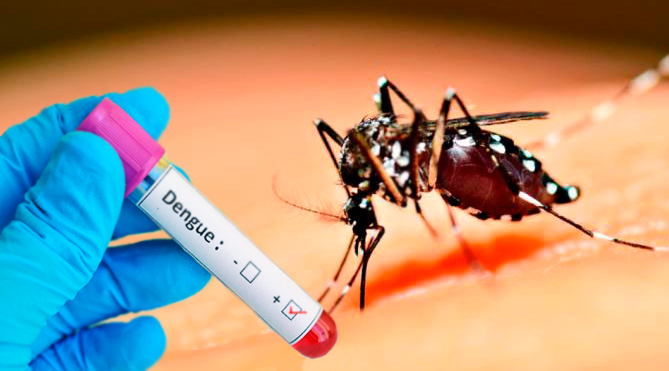 Un muerto por dengue y 480 enfermos reportan en Puebla