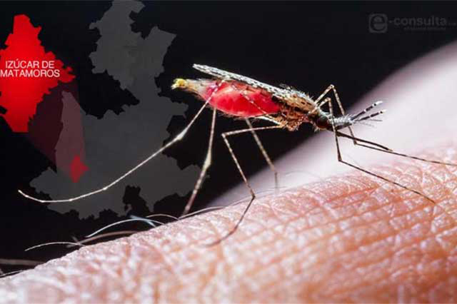 Jurisdicción sanitaria de Izúcar no atiende casos de dengue