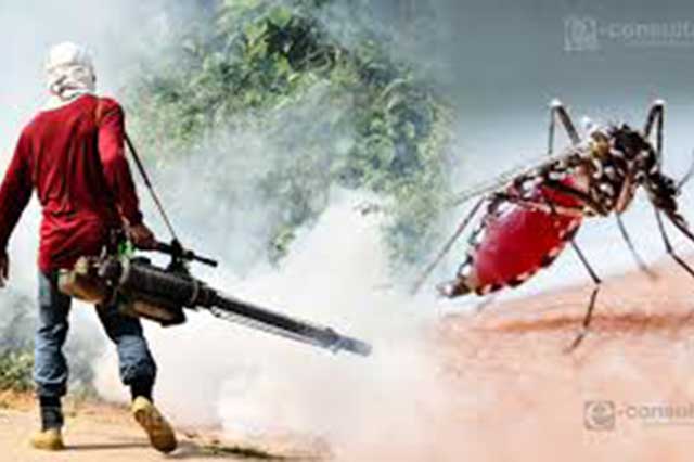 En Ajalpan se han presentado 15 casos de dengue hemorrágico