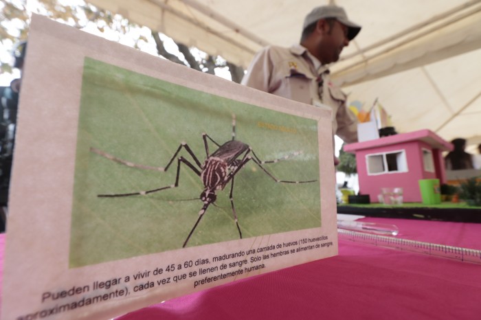 Reportan más de 400 casos de dengue en la región de Tehuacán