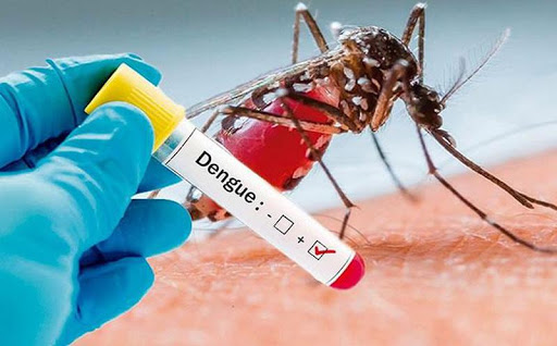 Además del coronavirus, ahora el dengue afecta a la región de Izúcar