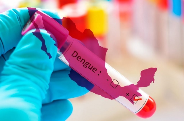 Ya son 87 mil casos de dengue en un año en el país